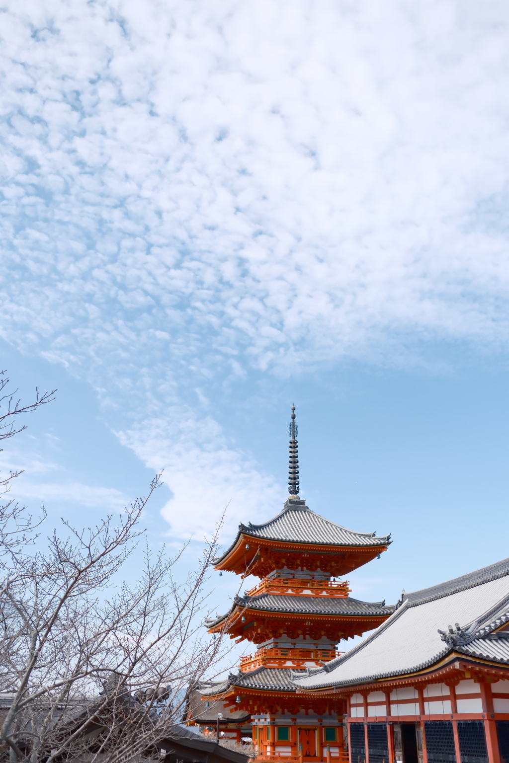 雲