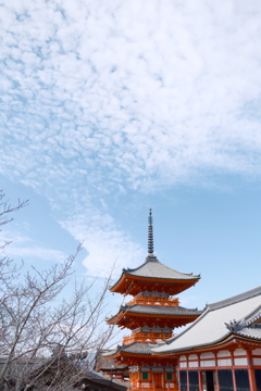 雲