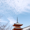 雲