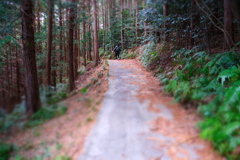 X-M5でお遊び