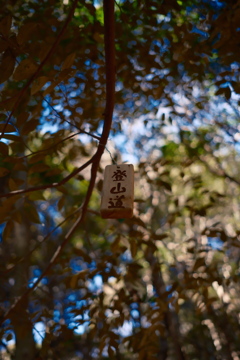 入山致します。