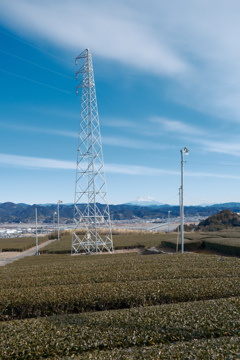 鉄塔/Mt.FUJI