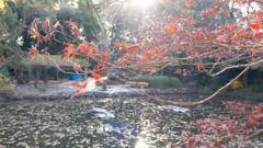 熱田神宮