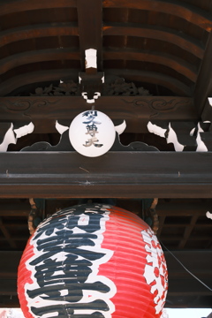 赤
