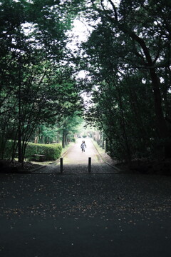 早く日陰へ