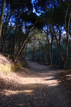 2025初入山