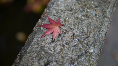 落
