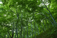谷川岳一ノ倉沢
