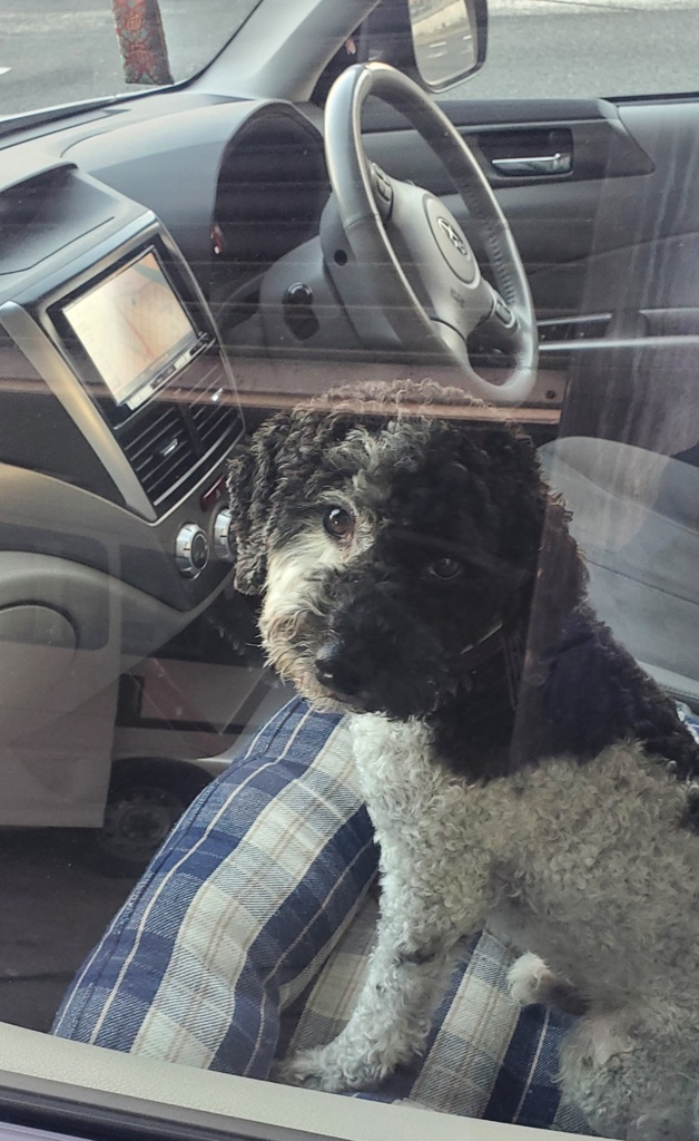 サイドシートのスバル