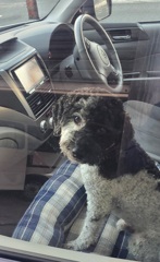 サイドシートのスバル