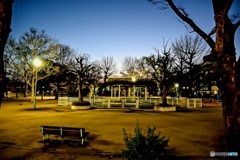 まもなく夜明けの公園から