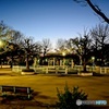 まもなく夜明けの公園から
