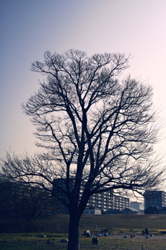寒空