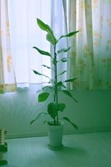 ２年で倍に成長した。