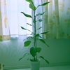 ２年で倍に成長した。