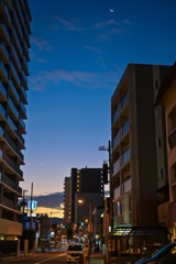 明け方の月