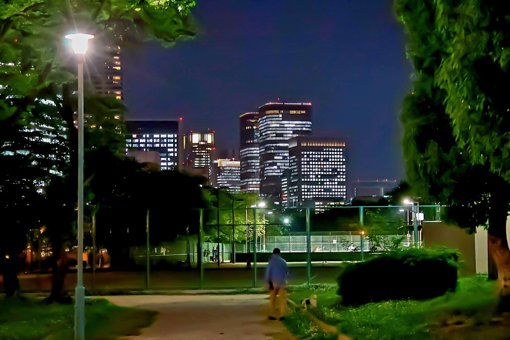 夜の散歩