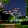 夜の散歩