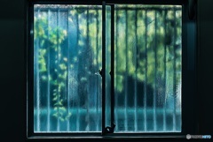 窓の外は雨