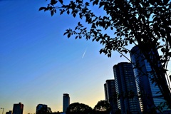 夜明けの飛行機雲