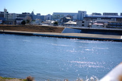多摩川