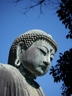 鎌倉大仏