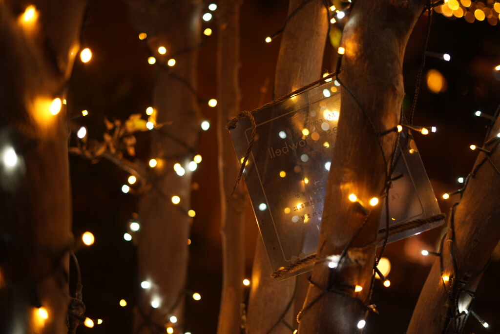 イルミネーション