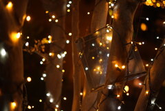 イルミネーション