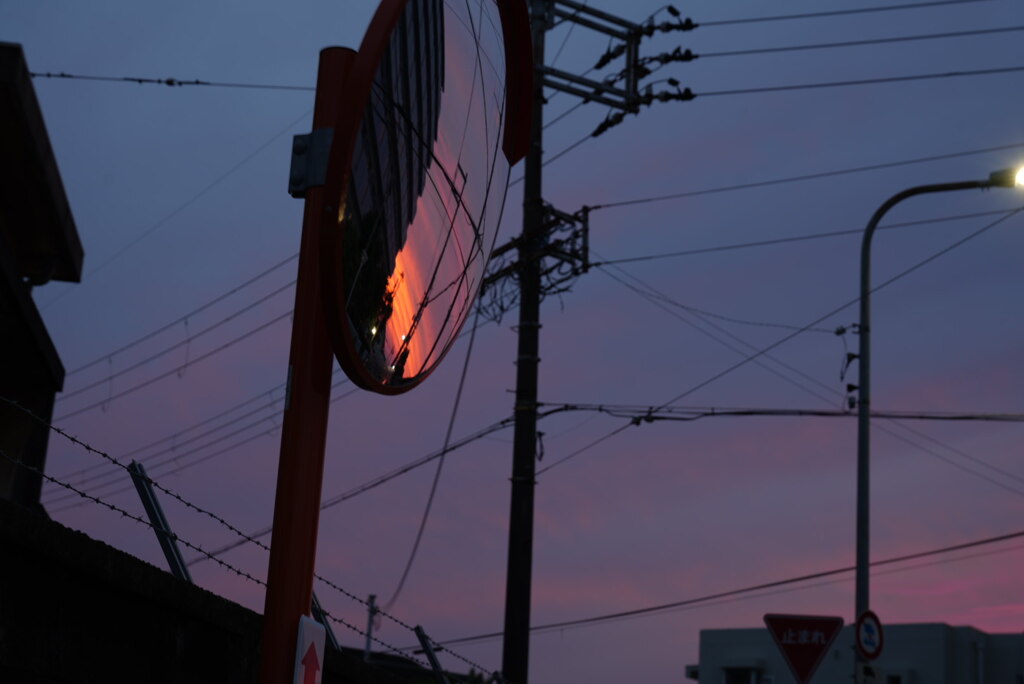 DSC00650