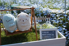 ぬいフォト