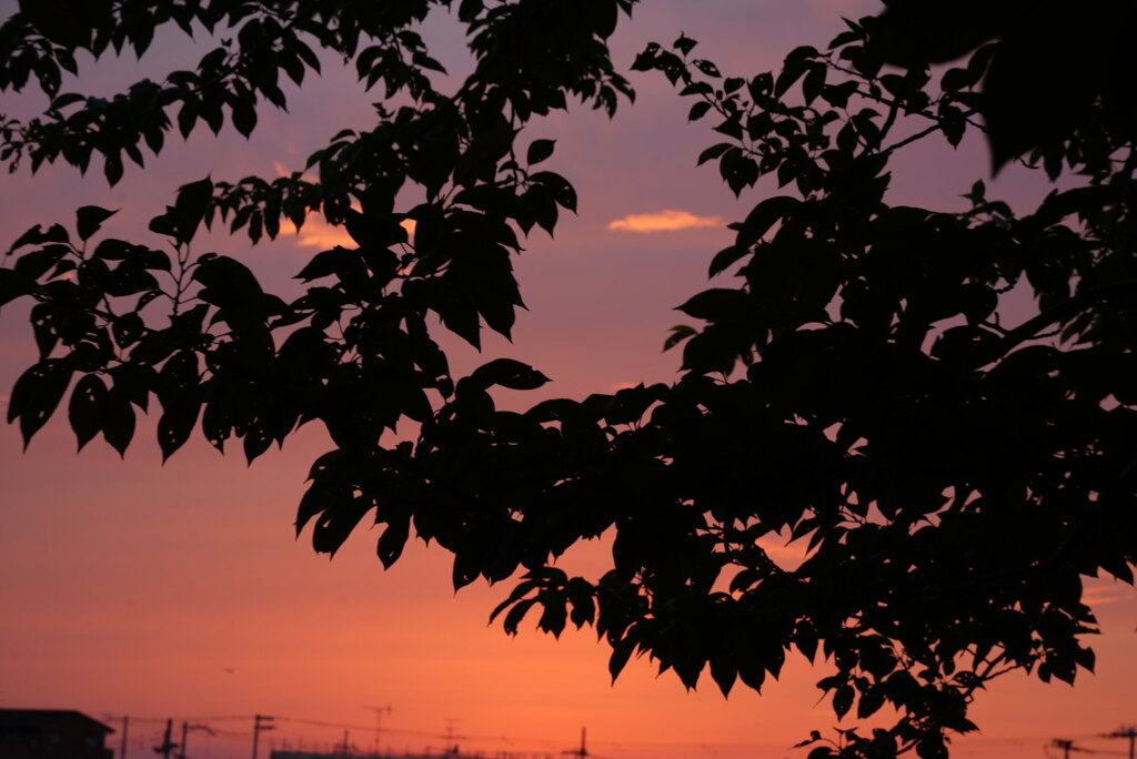 雨上がりの夕焼け