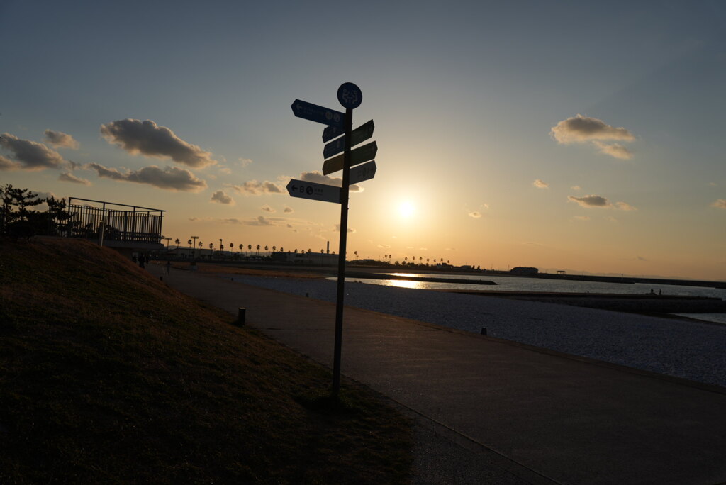 冬の海沿い