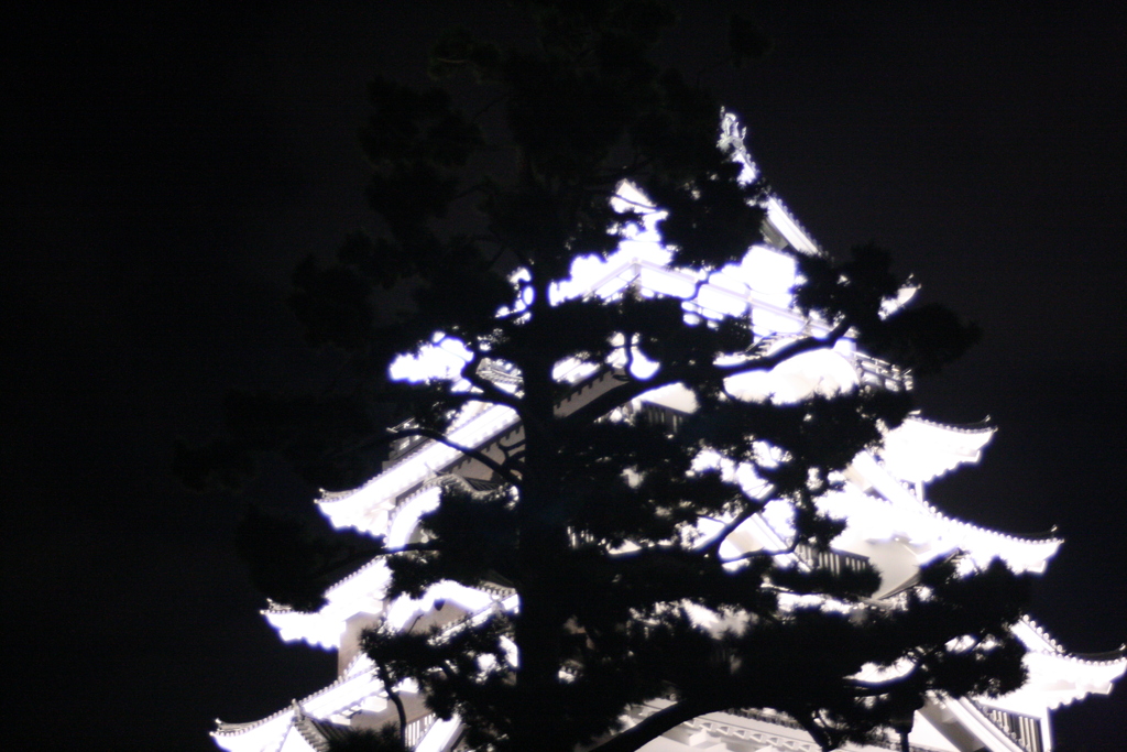 福山城の松