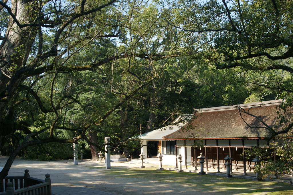 大三島の大山祇神社