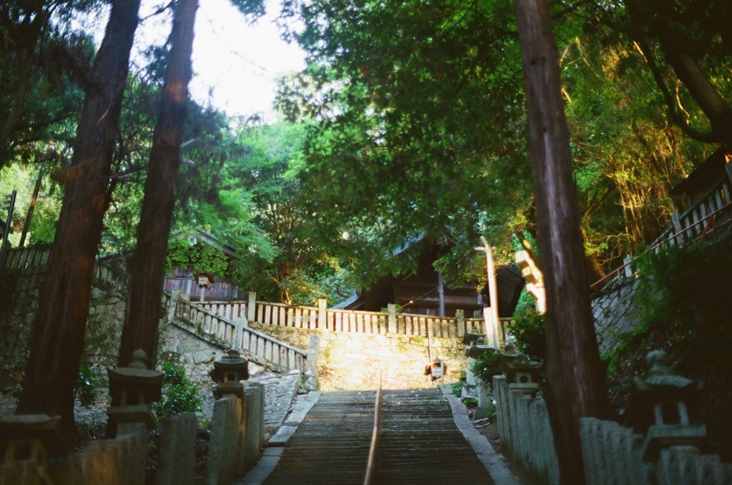 階段きつい
