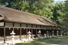 大三島の大山祇神社