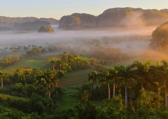 Viñales渓谷の朝景