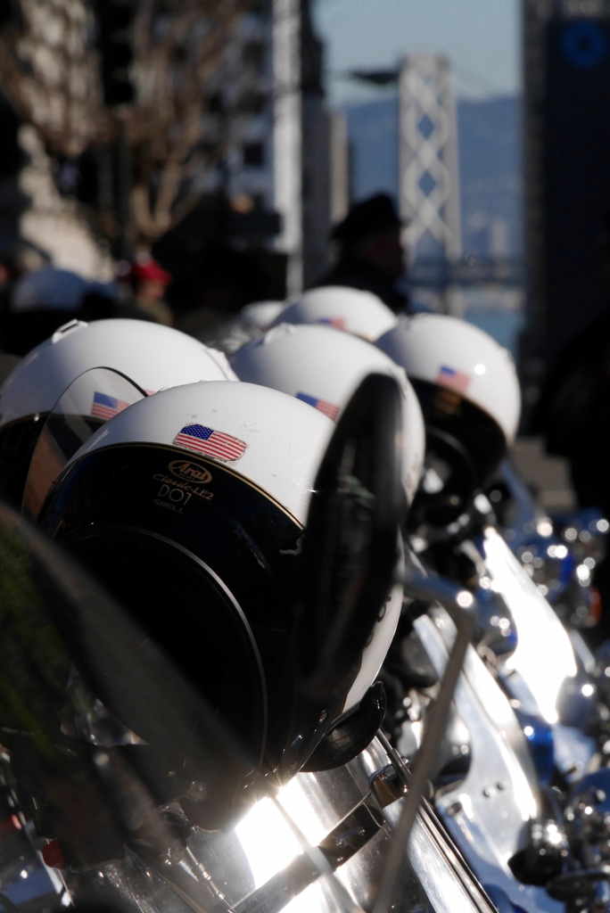 警備隊のヘルメット（for the first lady, 2014）