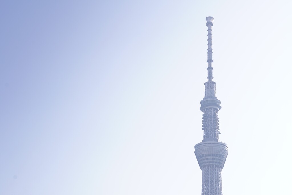幻の武蔵