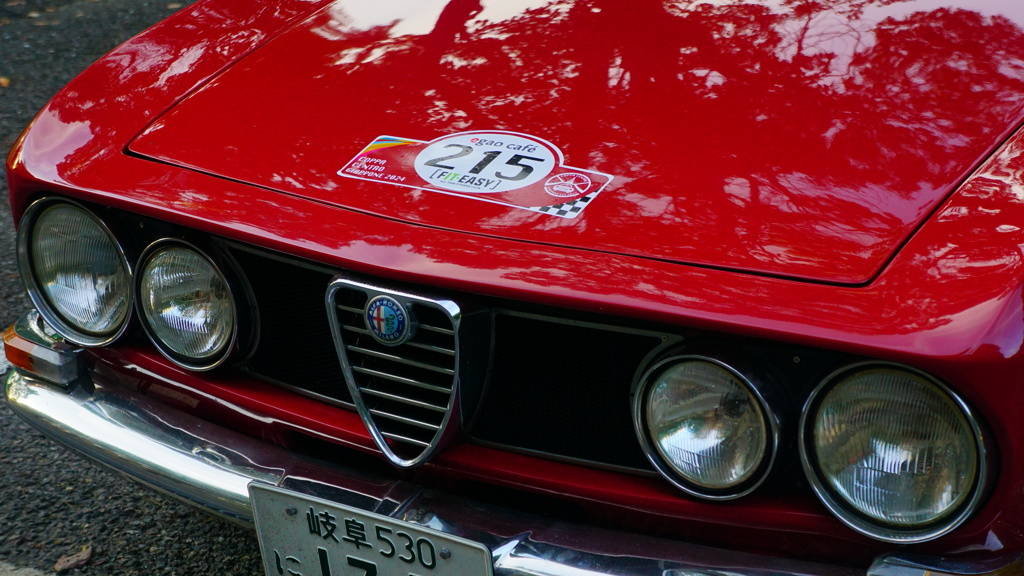 Coppa Centro Giappone ⑰