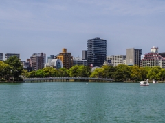 大濠公園　文元達也