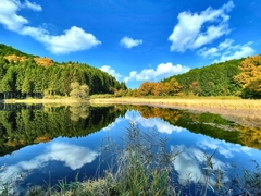 秋の龍王ヶ淵　文元達也