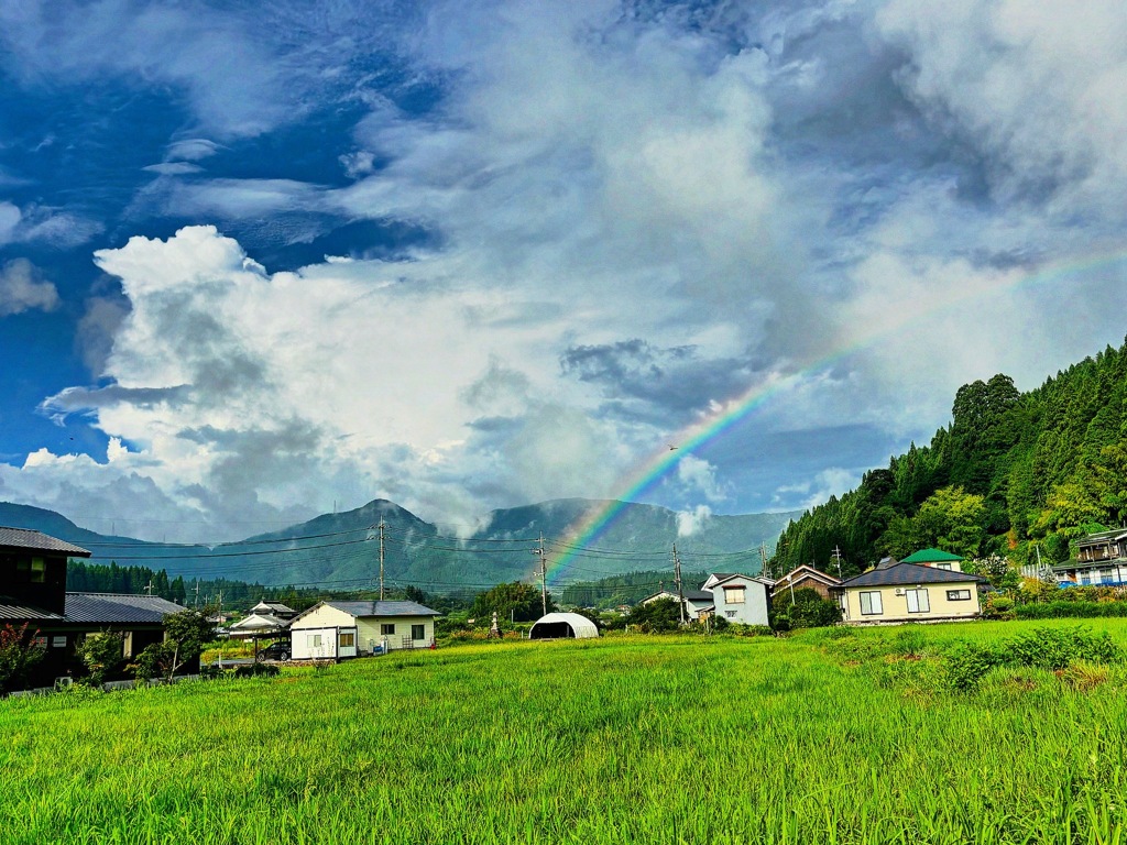大山の夏