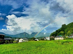 大山の夏