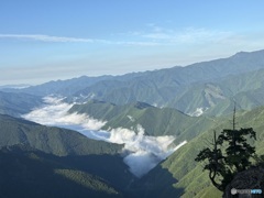 大台ケ原