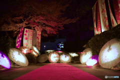 夜の散歩