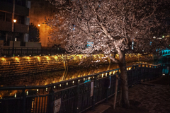 名古屋夜ライトアップ