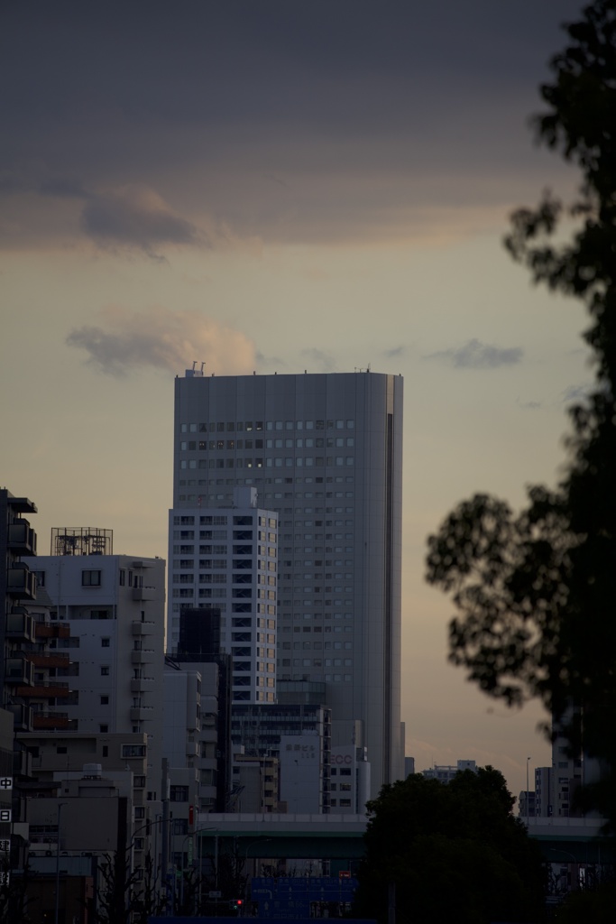 金山
