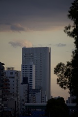 金山