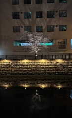 名古屋夜ライトアップ